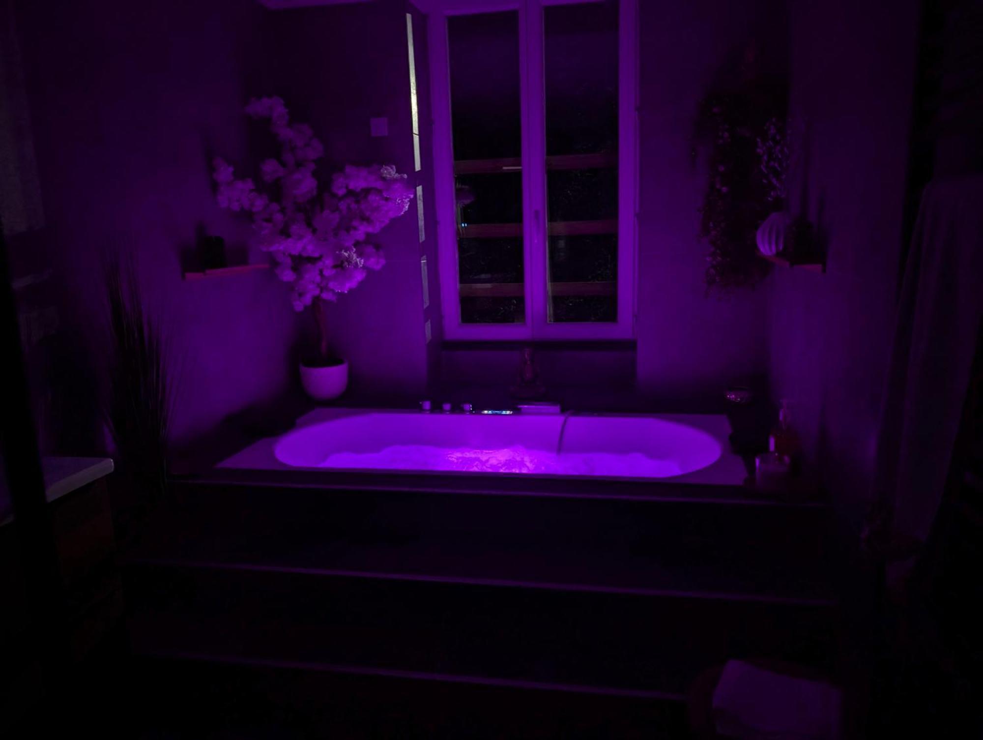 Le Spa - Villa Valmy - Hypercentre - Gare Sncf Montluçon Buitenkant foto